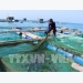 Aquaculture sector looks to sustainable development