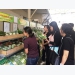 HCM City to focus on key agricultural products this year