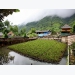 cac-bien-phap-phong-chong-ret-cho-dong-vat-thuy-san-nuoi