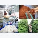 Agricultural exports target US$42 billion