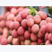 Vietnamese fresh lychees allowed to be imported into Japan