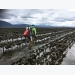 To protect sensitive habitat, oyster farms turn to high-tech tools