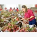 Vegetables, fruits exports post good growth