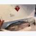 shinshu-salmon-top-thuong-hieu-ca-hoi-tai-nhat-ban