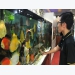 High potential of ornamental fish export