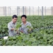 Vietnam needs more hi-tech farming to boost economy