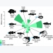 How enzymes can improve aquafeed utilisation