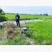 Growing rice with smartphone