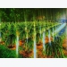 Promote agro-products through tourism