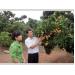 ho-tro-chung-nhan-san-pham-vai-thieu-an-toan-o-bac-giang
