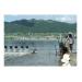 Tăng Cường Quản Lý Quy Hoạch Vùng Nuôi Trồng Thủy Sản Ở Phú Yên