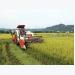 VN agricultural sector urged to modernise technology