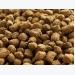 fda-chap-thuan-su-dung-taurine-trong-thuc-an-thuy-san