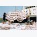 Viet Nam rice exports drop in Q1