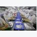 Australian ban on Vietnamese shrimp could drown exporters - trade official