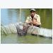 Hết thời cá kèo, bán 3 tấn cá lỗ hơn 50 triệu đồng