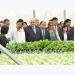 Israeli President tours high-tech greenhouse