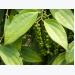 VPA warned that the Vietnam pepper import-export contracts cancelled