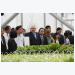 Tổng thống Israel nếm thử rau mầm Việt Nam ngay tại vườn