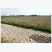 Ecosystem-based climate change adaptation reaps fruits