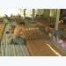 'Hai Lúa' chế tạo máy và xuất thảm xơ dừa sang Hàn Quốc