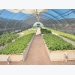 Aquaponics: ‘economy of scale is the key’