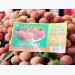 Geographical indication of Luc Ngan litchi protected in Japan