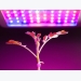 Grow Lights for Indoor Plants and Indoor Gardening: An Overview