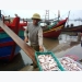 Fish catches, aquaculture harvests rise