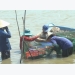 Đồng Tháp eyes over 2,000ha of giant river prawn farming