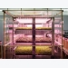 Mô hình nông trại trong nhà trồng rau siêu nhanh của Ikea