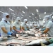 Catfish industry to reach US$2 billion export target in 2018