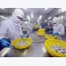 Kien Giang focuses on shrimp farming in 2019