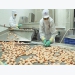 Mitsui invests $100 million in Vietnam’s king of shrimp Minh Phu