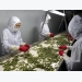 Attract 80,000-100,000 more businesses to invest in agriculture