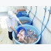 Difficulties hold back aquatic exports