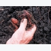 Benefits of vermiculture