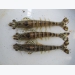 Bột ốc - nguyên liệu thay thế bột cá bổ sung vào thức ăn tôm