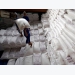 Vietnam 2019 rice exports up 4.2% y/y at 6.37 mln tonnes: customs