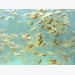 Feed extrusion linked to deformities in farmed wrasse