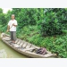 Trồng mít Thái kết hợp nuôi cá cho thu nhập cao