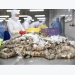 160 tonnes of shrimp exports leave port to EU, US and Japan