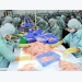 Vietnamese pangasius exporters urged not to panic as China conducts additional inspections