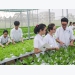 Agricultural sector meets dual goal, seeks new outlets