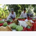 An Giang Province keen to set up agricultural co-operatives