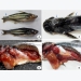 ung-cu-vien-hang-dau-de-bao-che-vaccine-cho-ca-tra