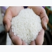 Nhu cầu dùng gạo làm thức ăn chăn nuôi ở châu Á tăng mạnh