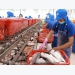 Fishery exports projected to near 8.9 billion USD this year