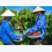 VnSAT contributes to Vietnam's coffee industry's transformation