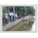 mo-hinh-nuoi-ca-chep-nhat-thuong-pham-hieu-qua-kinh-te-o-thanh-pho-ho-chi-minh